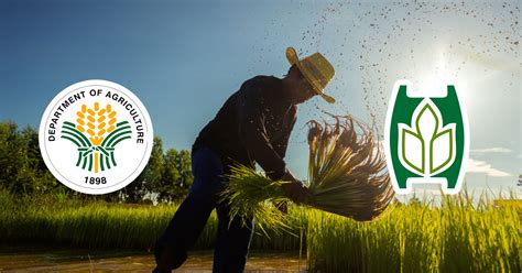 openload fair trade|Filipino farmers secure their livelihoods via fair trade.